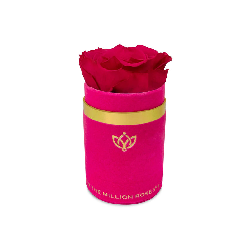 Single Rose Box - Pink Suede - The Million Roses Slovakia