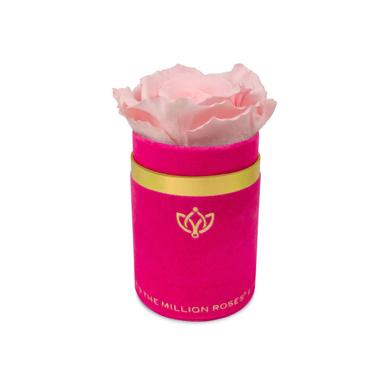 Single Rose Box - Pink Suede - The Million Roses Slovakia
