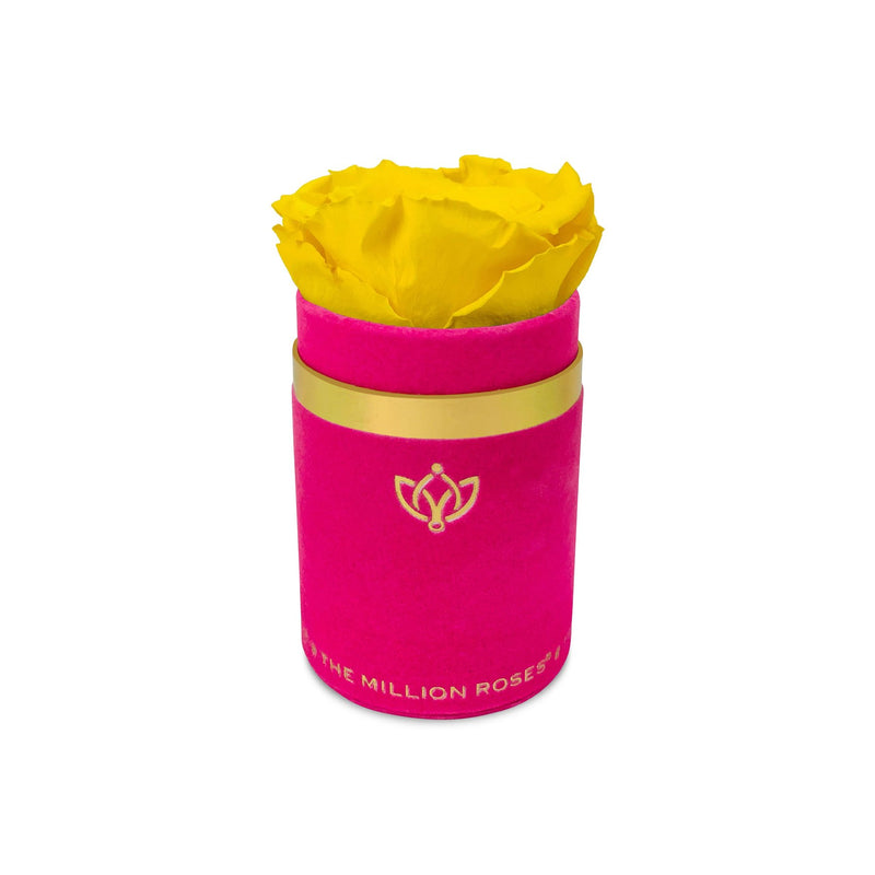 Single Rose Box - Pink Suede - The Million Roses Slovakia