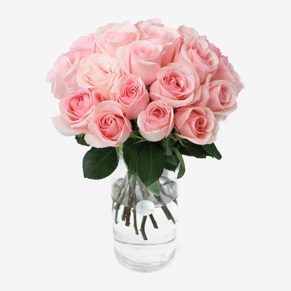 Kytica ružových živých ruží - The Million Roses Slovakia