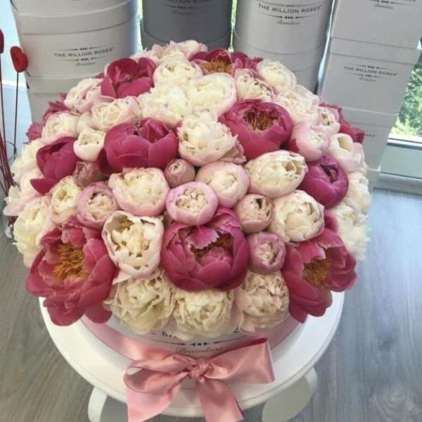 Large - Light Pink Peonies - White Box - The Million Roses Slovakia