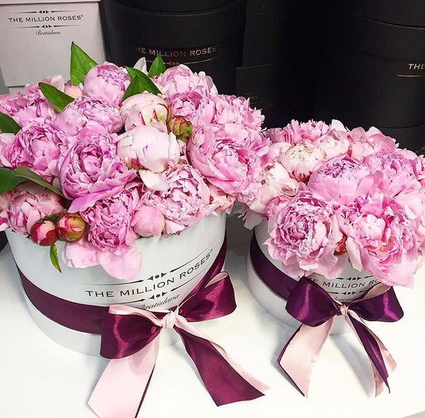 Small - Light Pink Peonies - White Box - The Million Roses Slovakia
