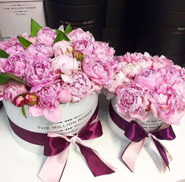 Small - Light Pink Peonies - White Box - The Million Roses Slovakia
