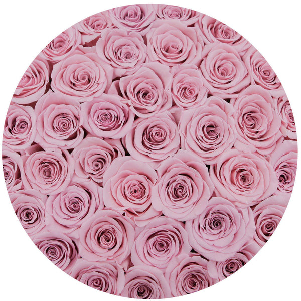 Medium - Pink Roses - White Box - The Million Roses Slovakia