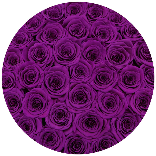Medium - Purple Eternity Roses - White Box - The Million Roses Slovakia