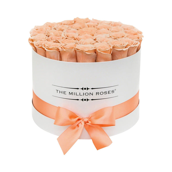Medium - Peach Eternity Roses - White Box - The Million Roses Slovakia