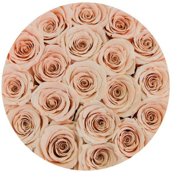 Small - Peach Eternity Roses - Black Box - The Million Roses Slovakia
