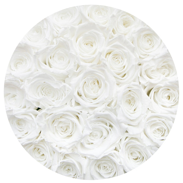 Small - White Eternity Roses - Vanilla Box - The Million Roses Slovakia