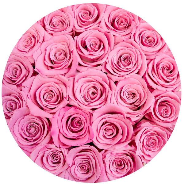Small - Candy Pink Eternity Roses - Vanilla Box - The Million Roses Slovakia