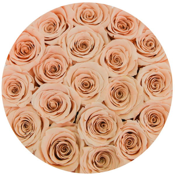 Small - Peach Eternity Roses - Gold Box - The Million Roses Slovakia