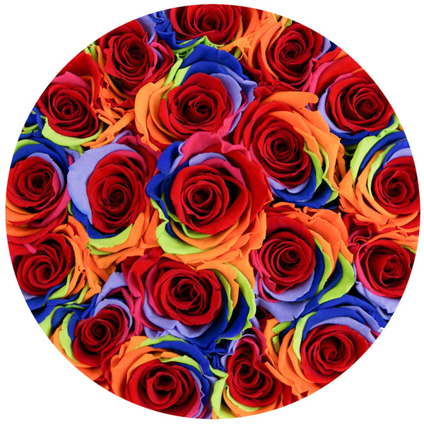 Small - Rainbow Eternity Roses - White Box - The Million Roses Slovakia