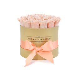 Small - Peach Eternity Roses - Gold Box - The Million Roses Slovakia