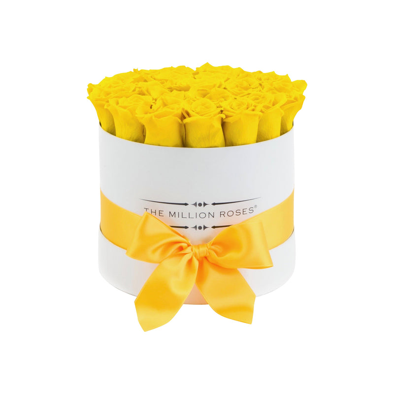 Small - Light Yellow Eternity Roses - White Box - The Million Roses Slovakia