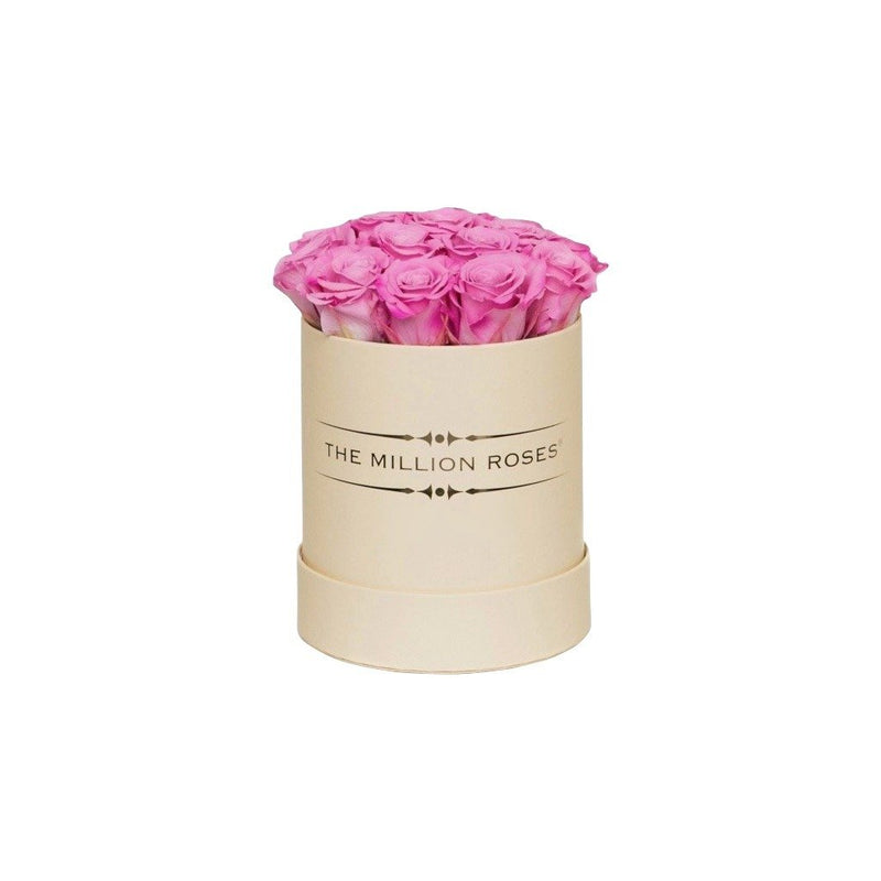 The Million Basic - Candy Pink Eternity - Vanilla Box - The Million Roses Slovakia
