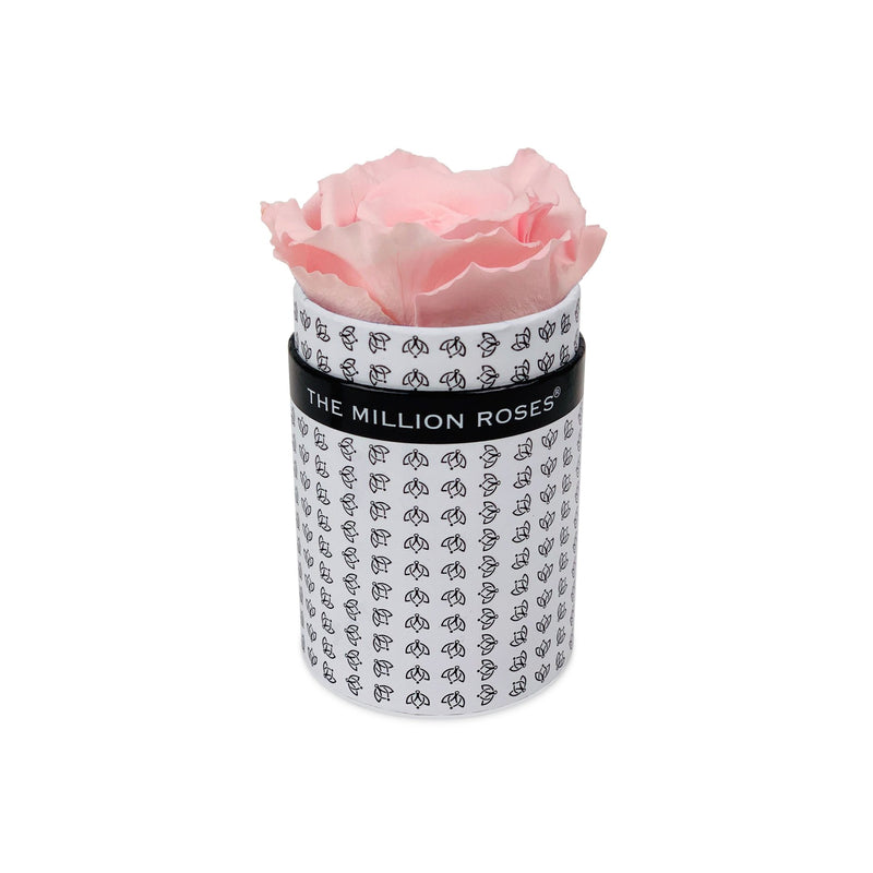 Single Rose Box - White All Over Logo - The Million Roses Slovakia