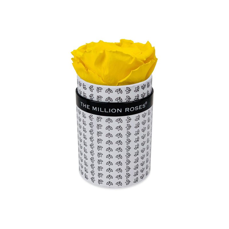 Single Rose Box - White All Over Logo - The Million Roses Slovakia