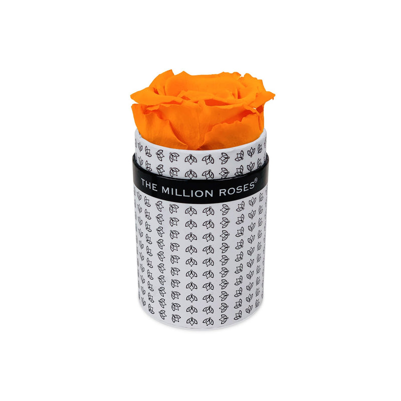 Single Rose Box - White All Over Logo - The Million Roses Slovakia