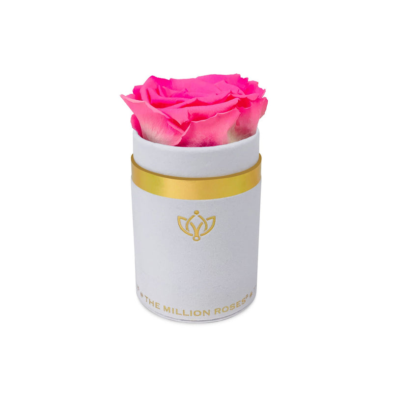 Single Rose Box - White Suede - The Million Roses Slovakia