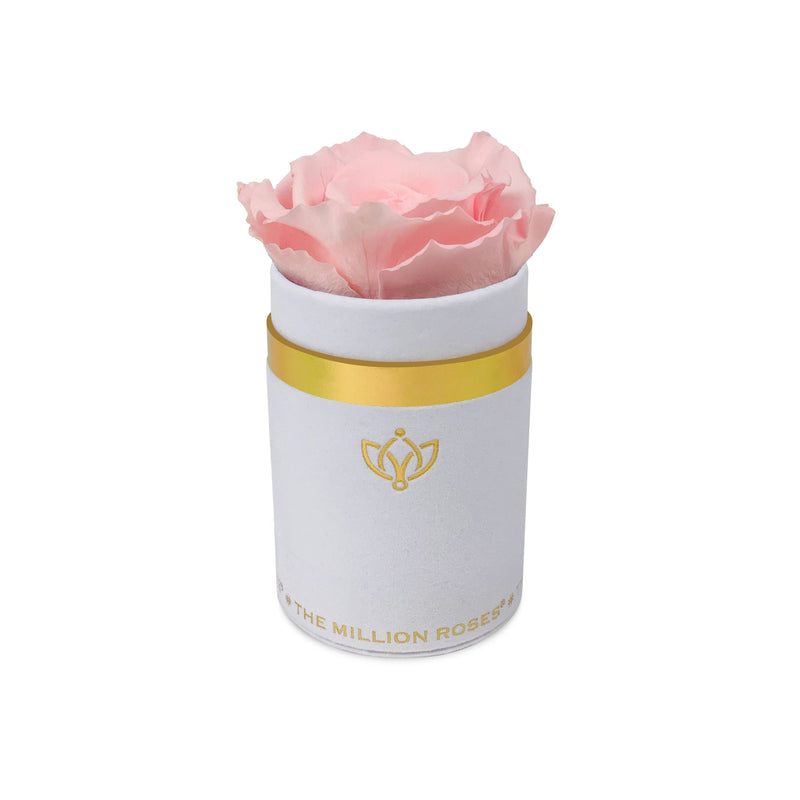 Single Rose Box - White Suede - The Million Roses Slovakia