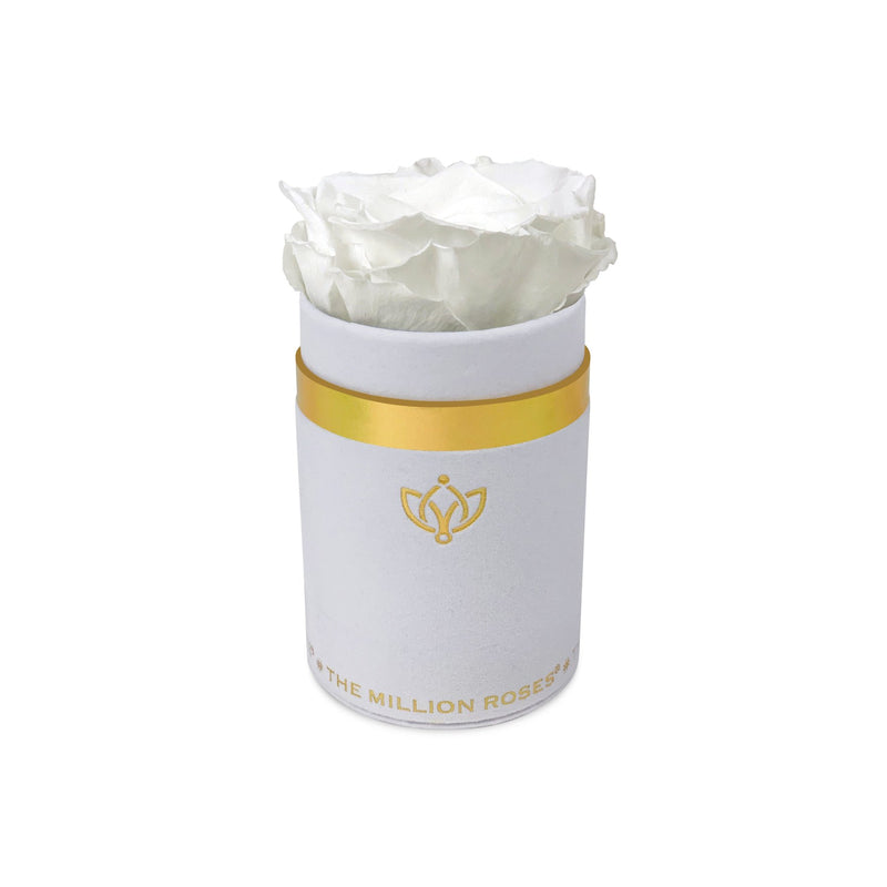 Single Rose Box - White Suede - The Million Roses Slovakia