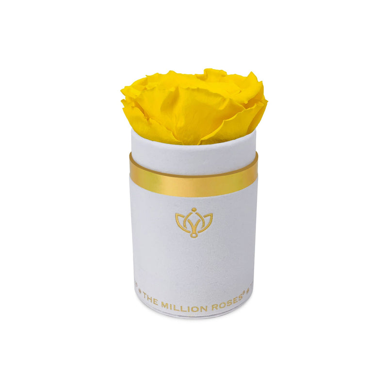 Single Rose Box - White Suede - The Million Roses Slovakia
