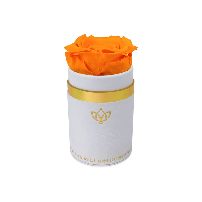 Single Rose Box - White Suede - The Million Roses Slovakia
